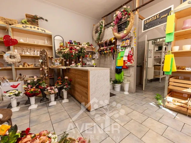 Prodej komerční nemovitosti 329 m², Ratíškovice