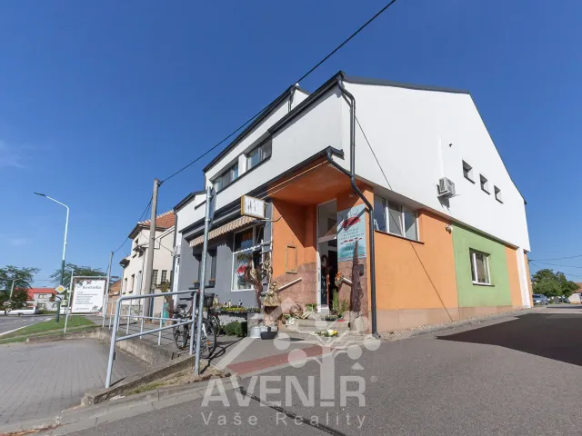 Prodej komerční nemovitosti 329 m², Ratíškovice