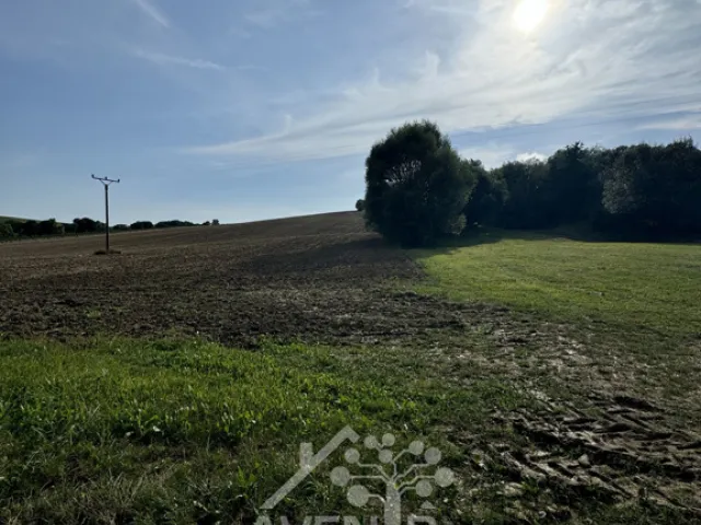 Prodej pole 8 115 m², Horní Lhota