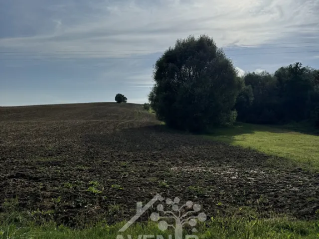 Prodej pole 8 115 m², Horní Lhota