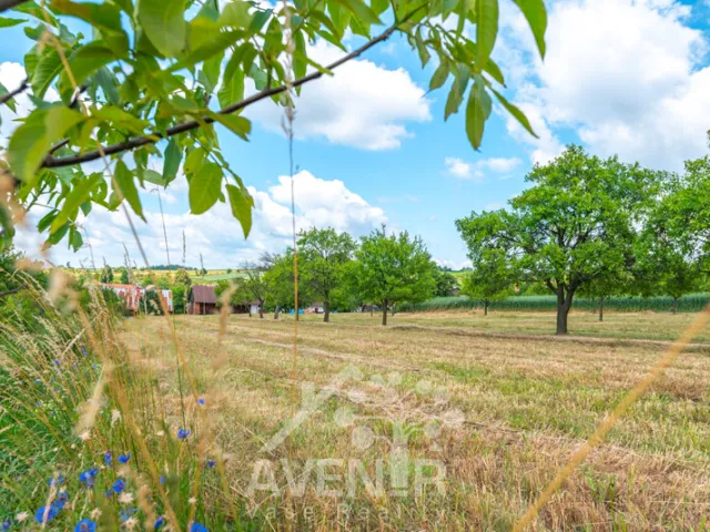 Prodej stavebního pozemku 5017 m², Lačnov