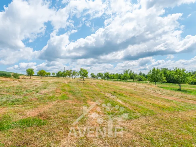 Prodej stavebního pozemku 5017 m², Lačnov