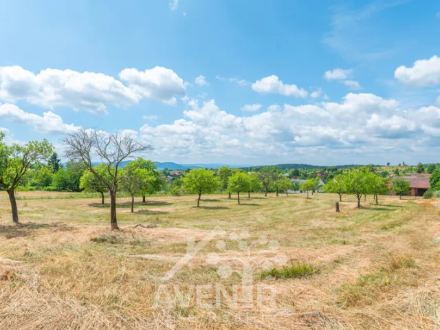 Prodej stavebního pozemku 5017 m², Lačnov