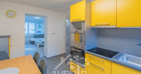Pronájem bytu 2+1 58 m²