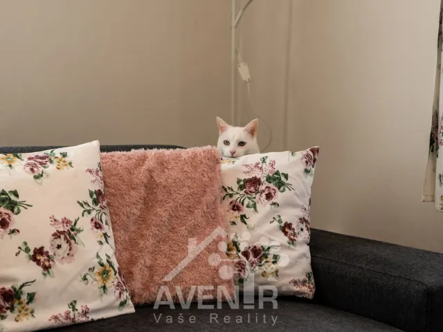 Prodej rodinného domu 220 m², pozemek 774 m², Jablonec nad Nisou