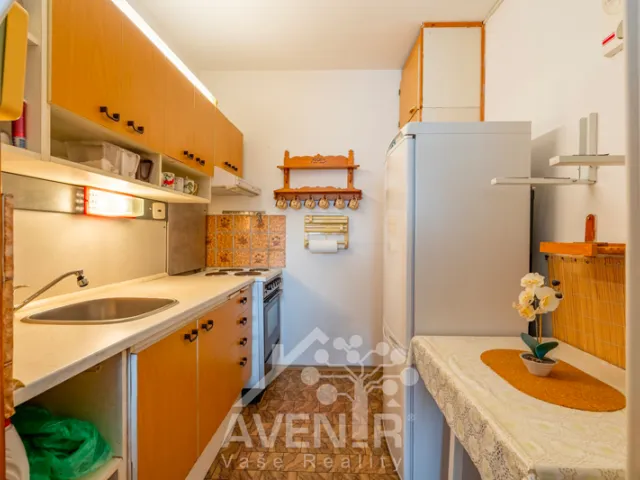 Prodej bytu 2+kk 43 m², Jana Palacha, Mladá Boleslav - Mladá Boleslav II