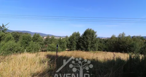 Pronájem zahrady 10000 m²