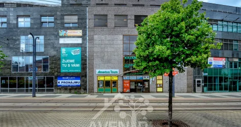 Pronájem kanceláře 58 m²