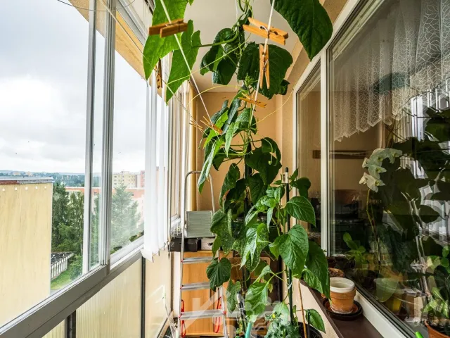 Prodej bytu 3+1 70 m², Mládí, Jablonec nad Nisou - Mšeno nad Nisou