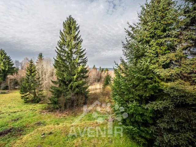 Prodej rodinného domu 192 m², pozemek 482 m², Nová Ves nad Nisou