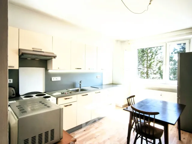 Pronájem bytu 3+1 75 m², Haškova, Liberec - Liberec VI-Rochlice