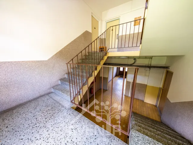 Prodej bytu 1+kk 19 m², Velké Hamry
