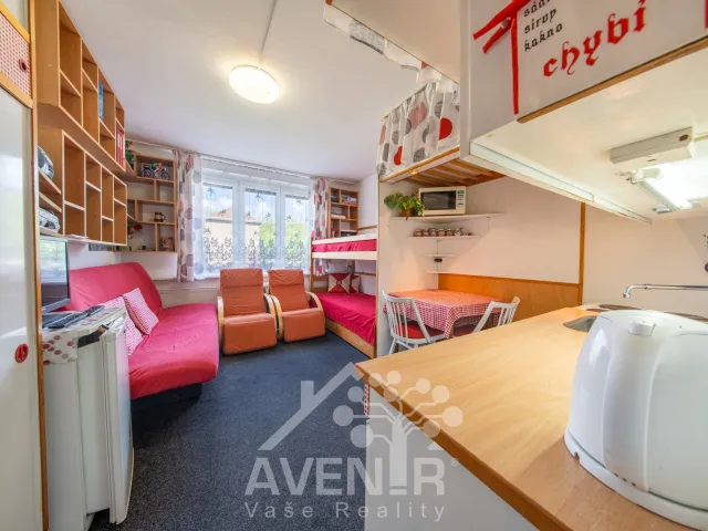 Prodej bytu 1+kk 19 m², Velké Hamry