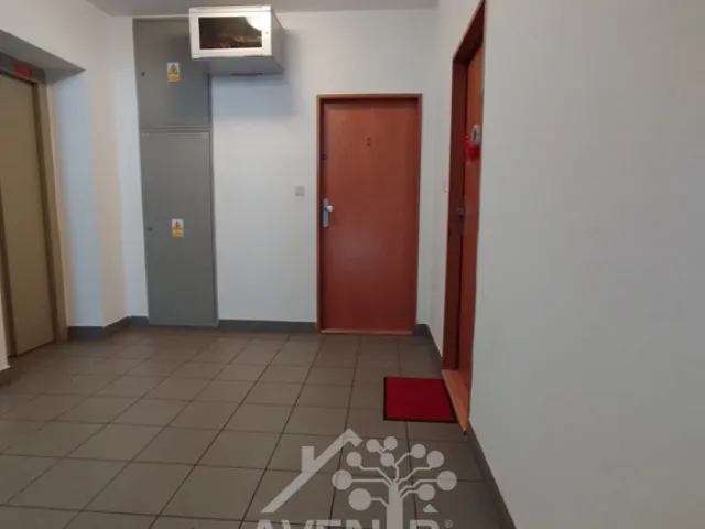 Prodej bytu 2+1 52 m², Šafaříkova, Hodonín