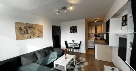 Pronájem bytu 3+kk 42 m²