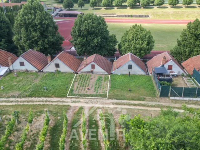 Prodej vinného sklepa 84 m², Čejkovice