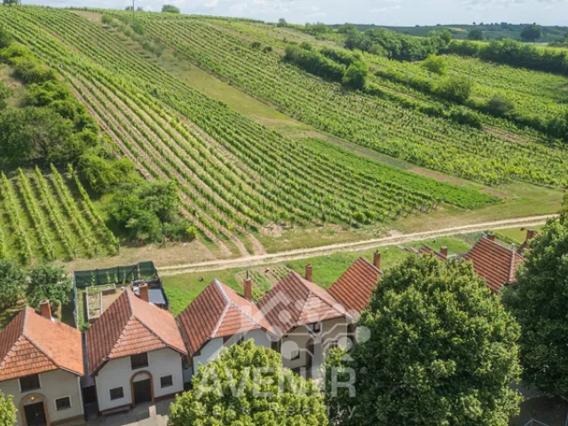 Prodej vinného sklepa 84 m², Čejkovice
