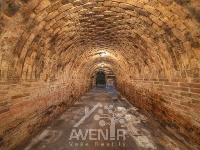 Prodej vinného sklepa 84 m², Čejkovice