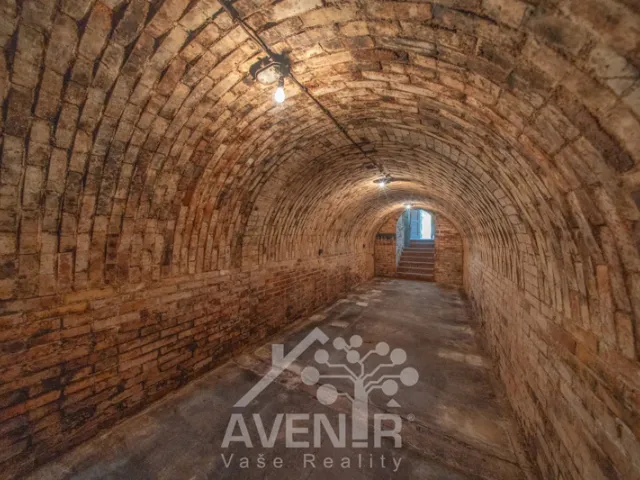 Prodej vinného sklepa 84 m², ČejkoviceProdej vinného sklepa 84 m², Čejkovice