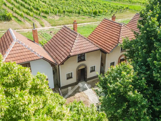 Prodej vinného sklepa 84 m², Čejkovice