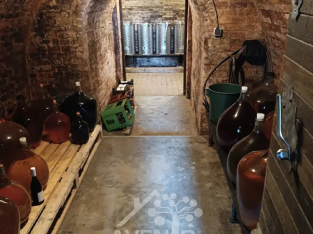 vinný sklep, Šidleny v Miloticích u Kyjova